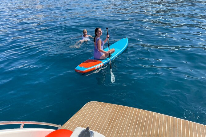 Whales and Dolphins excursion on a Luxury Yacht in Canary Islands - Price and value: what $104.01 buys you