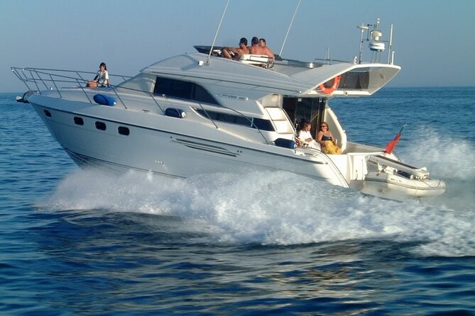 Whales and Dolphins excursion on a Luxury Yacht in Canary Islands - Who this tour is for (and who should skip it)