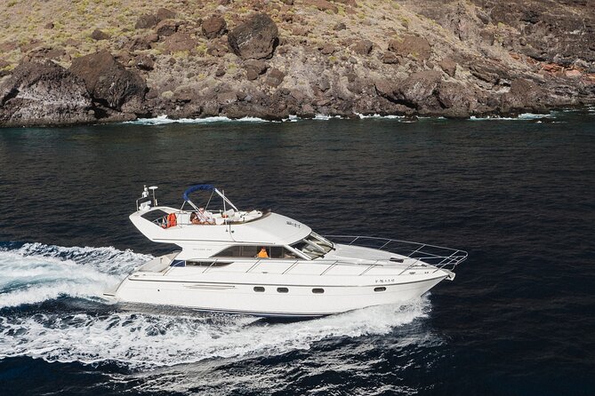 Whales and Dolphins excursion on a Luxury Yacht in Canary Islands - Your 3-hour route, step by step