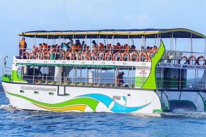 Whales and Dolphins Watching-Luxury Super Grade Cruiser(Hotel Pick up offered) - Key things I’d plan around