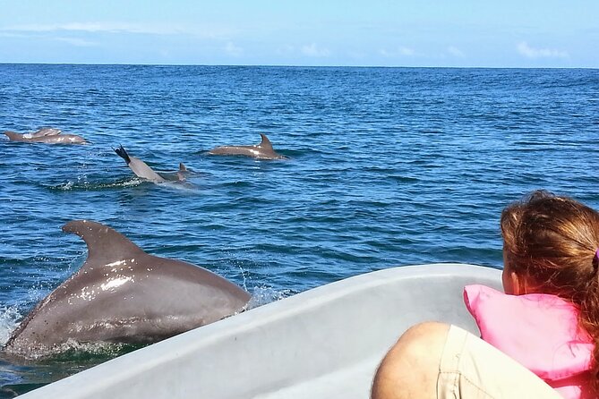 Whales and Dolphins watching Tour From Uvita - Should You Book This Whale and Dolphin Tour from Uvita?