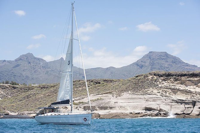 Whales & Dolphins watching in exclusive sailboat - Food and drinks on board: simple, included, and actually helpful