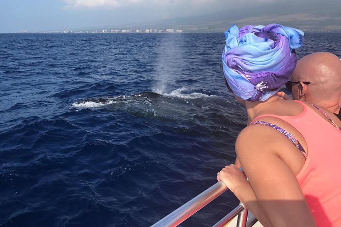 WHALES GUARANTEED Maui Whale Watching Makai Adventures - Key Highlights You Should Know