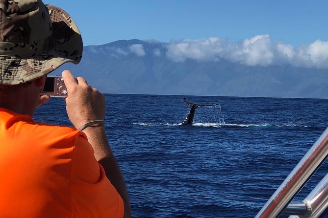 WHALES GUARANTEED Maui Whale Watching Makai Adventures - Photos, Sunrise Options, and How to Get Better Shots Without Stress