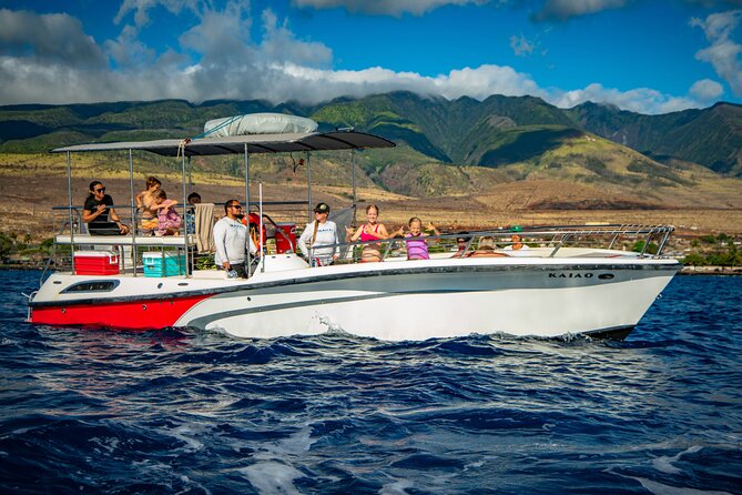 WHALES GUARANTEED Maui Whale Watching Makai Adventures - Weather, Choppy Water, and What to Bring (So You Don’t Cut the Fun)