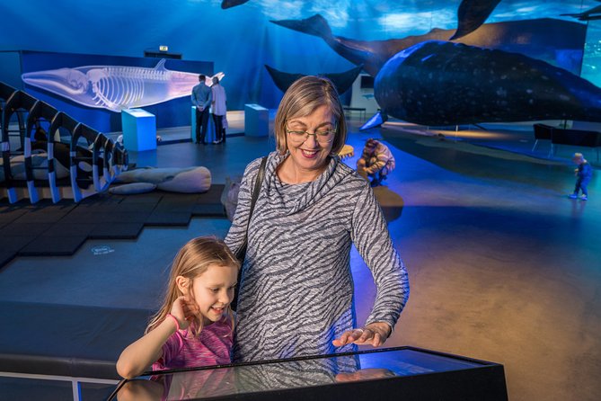 Whales Of Iceland Admission Ticket - Getting There: Parking, Public Transit, and Where to Start
