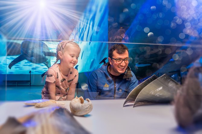 Whales Of Iceland Admission Ticket - Who Should Book (And Who Might Skip It)