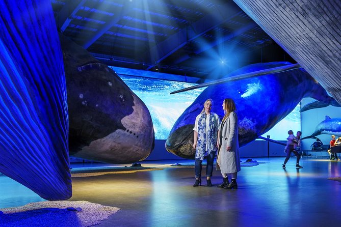 Whales of Iceland from Land and Sea - Price and value: what $120.15 gets you in real terms