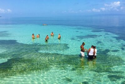 Whales Watching Half Day Experience - Bacardi Island Break: White Sand, Brugal Rum, and a Proper Pause
