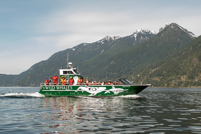 Wild Whale Watching Experience - Open Air Vessel - Key highlights to know before you go