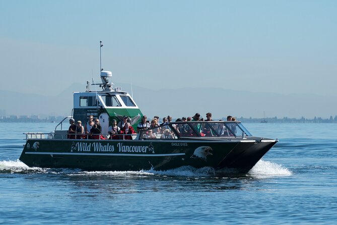 Wild Whale Watching Experience - Open Air Vessel - Price and value: is $169.74 worth it?