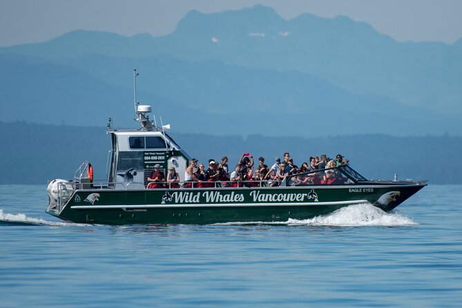 Wild Whale Watching Experience - Open Air Vessel - Eagle Eyes open-air viewing: why the 360° matters