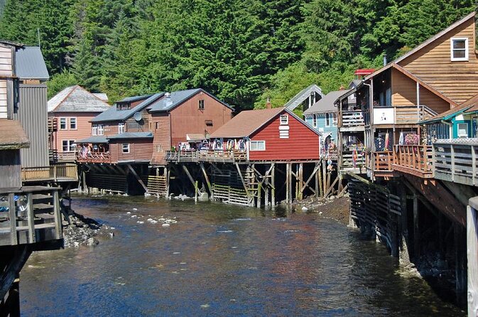 Wildlife Viewing, Sightseeing and Whale Watching Quest - A Ketchikan Whale Cruise That Feels Like a Real Hunt