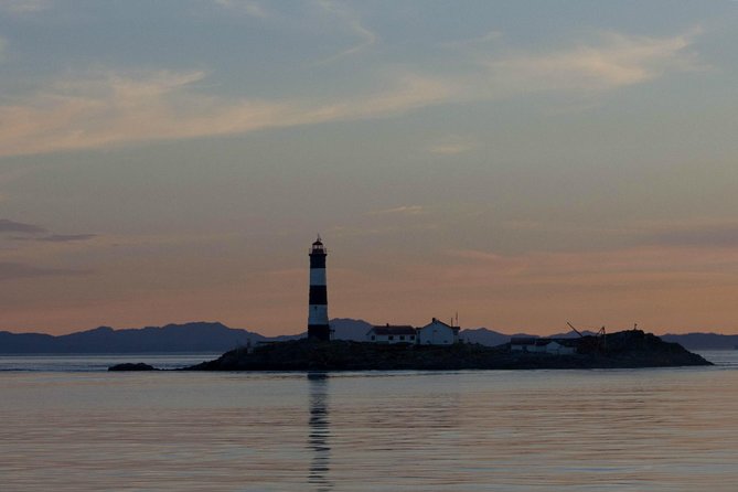 Winter Victoria Whale and Wildlife Zodiac Tour - What You Might See: Whales, Seals, Sea Lions, Otters, and Birds