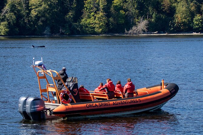 Winter Victoria Whale and Wildlife Zodiac Tour - Winter Comfort Tips That Actually Help