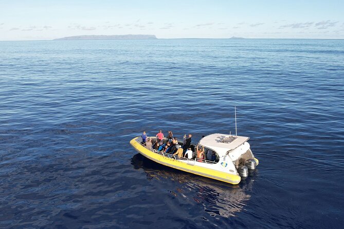 Winter Whale Watching Adventure in Kauai - Hydrophones and Whale Sound: A Rare Extra You Should Hope For