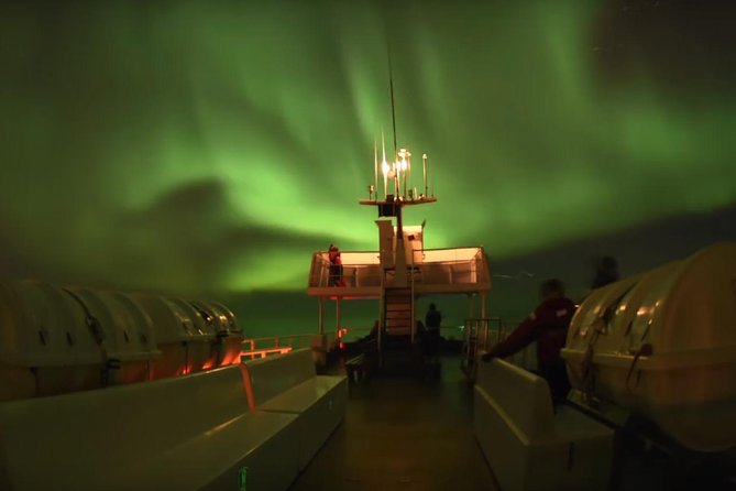 Winter Whale Watching and Northern Lights Cruise from Reykjavik - Wildlife Exhibition access: a smart warm-up on land