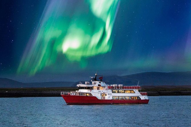 Winter Whale Watching and Northern Lights Cruise from Reykjavik - Northern lights cruise in the evening: why the boat beats land