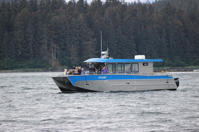 Wonderful Whales and Wildlife Tour - Quick Highlights You’ll Care About