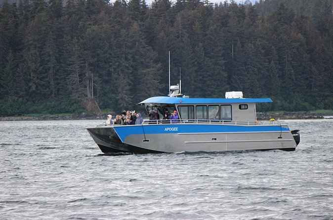 Wonderful Whales and Wildlife Tour - The Wildlife “Rounds”: What It Feels Like Over 3 Hours