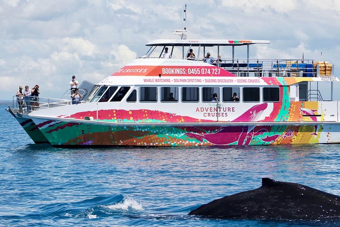 World class Whale Watching from Hervey Bay - What’s included onboard: tea, biscuits, and comfort that helps