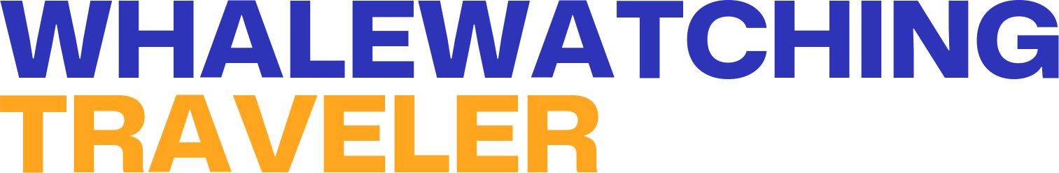 Whale Watching Traveler