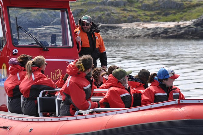 Zodiac Boat Whale and Wildlife 6-Hour Tour from Campbell River - Who Should Book This Zodiac Whale and Wildlife Tour?