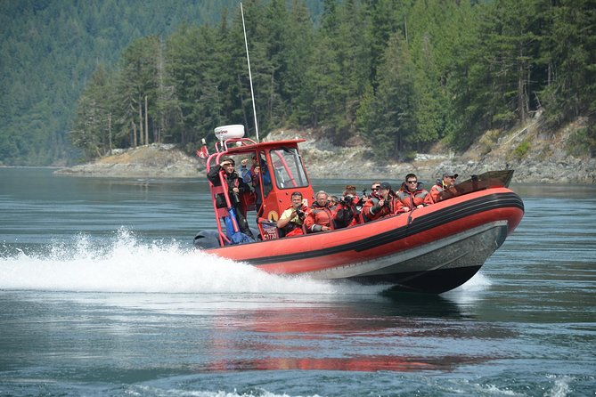 Zodiac Boat Whale and Wildlife 7-8-Hour Tour from Campbell River - Small-Group Setup and Guides: What a Max-12 Day Feels Like